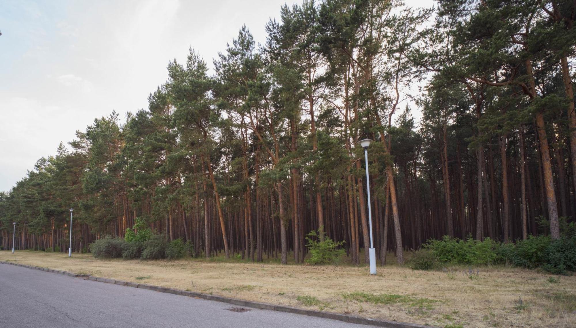 Vila Bite Palanga Exteriör bild